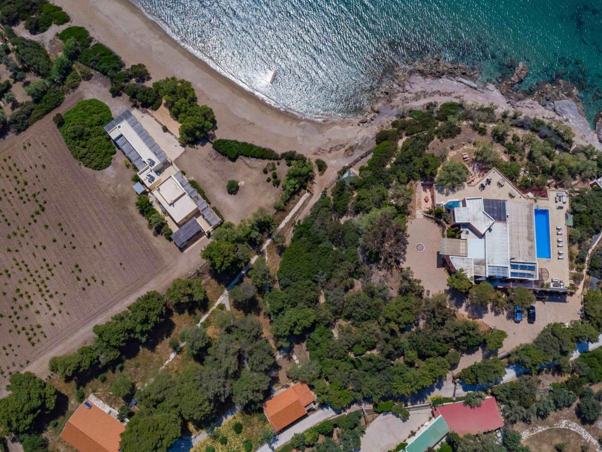 Black Diamond Beachfront Pool Villa Pasithea In Sounio, Athens Sounion Exterior foto