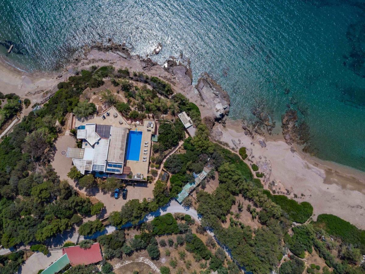 Black Diamond Beachfront Pool Villa Pasithea In Sounio, Athens Sounion Exterior foto