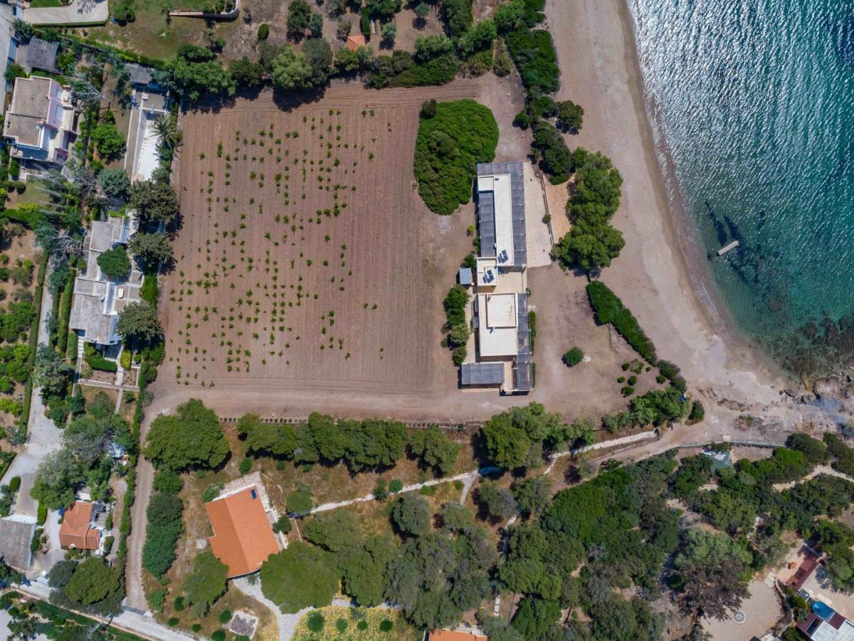 Black Diamond Beachfront Pool Villa Pasithea In Sounio, Athens Sounion Exterior foto